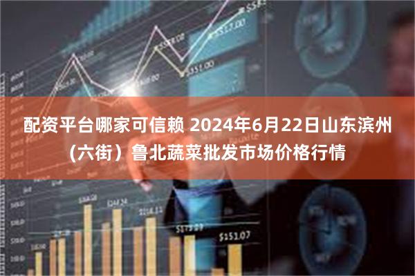 配资平台哪家可信赖 2024年6月22日山东滨州(六街）鲁北蔬菜批发市场价格行情